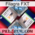 Filagra FXT viagra5